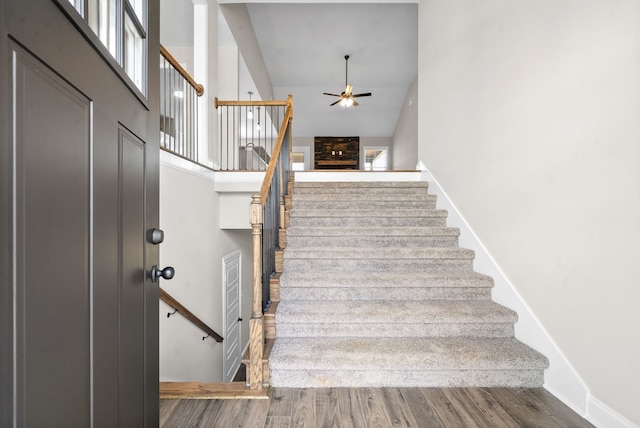 staircase with a high ceiling, hardwood / wood-style flooring, and ceiling fan