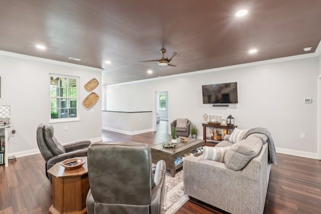 living room featuring ceiling fan, ornamental molding, and dark wood-type flooring