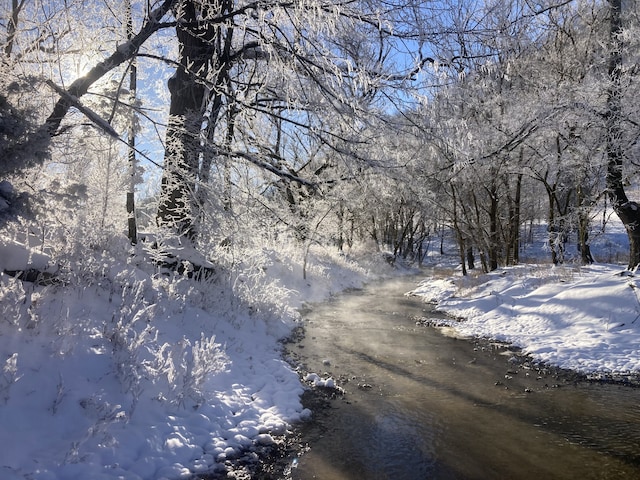 view of nature