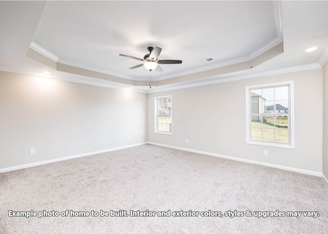 spare room featuring carpet floors, ornamental molding, a raised ceiling, and baseboards