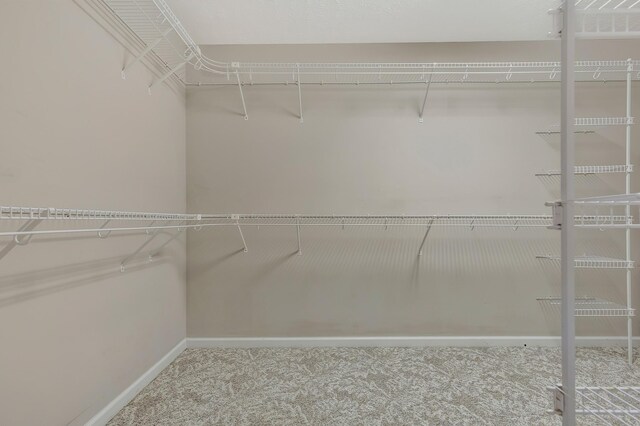 12 Brandywine Dr, Clarksville, TN 37042 - photo 22