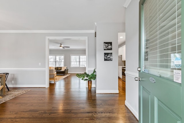 entrance foyer featuring ceiling fan, crown molding, and dark wood-type flooring