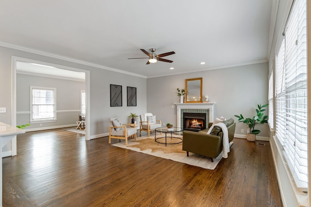 living room featuring a fireplace, crown molding, dark hardwood / wood-style flooring, and ceiling fan