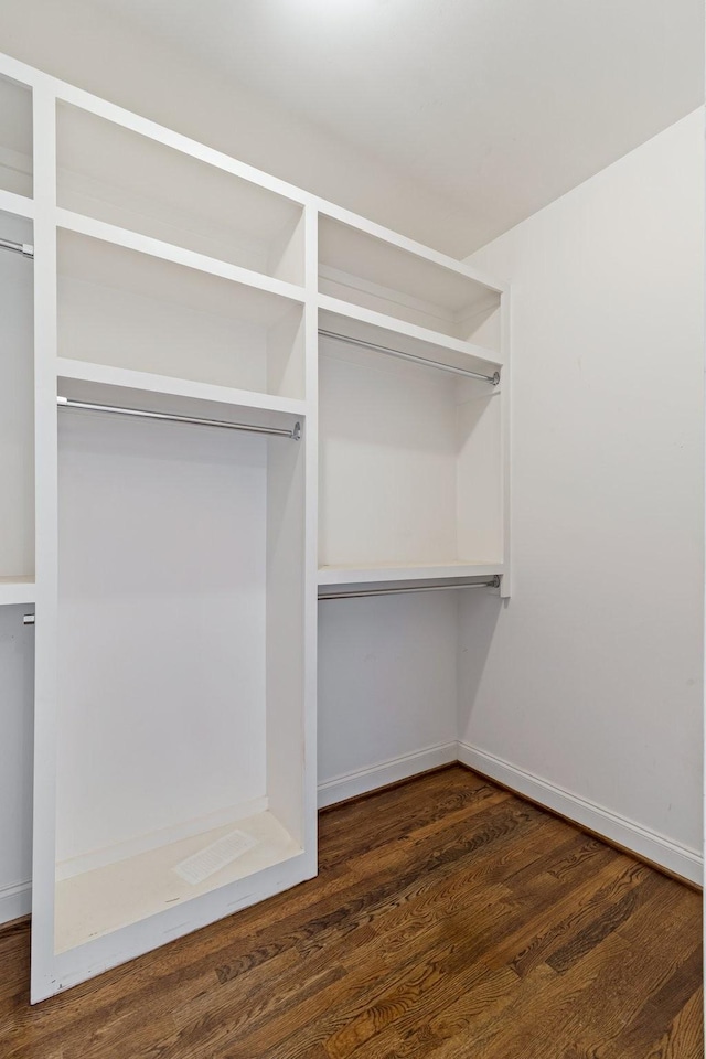 spacious closet with dark hardwood / wood-style flooring