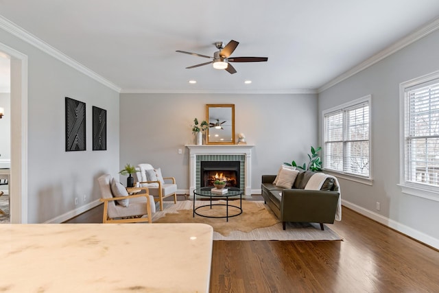 living room with a fireplace, crown molding, hardwood / wood-style floors, and ceiling fan