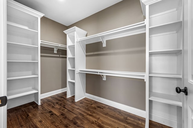 walk in closet with dark hardwood / wood-style flooring