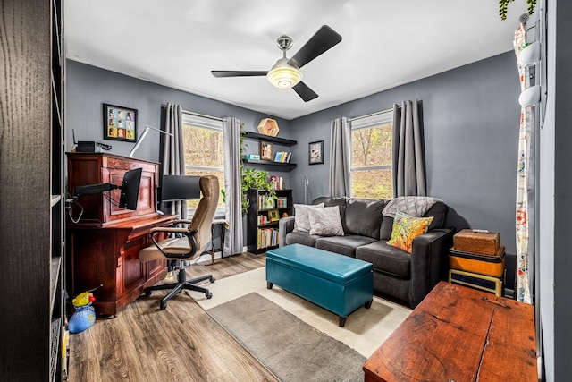 office space featuring light hardwood / wood-style floors, plenty of natural light, and ceiling fan