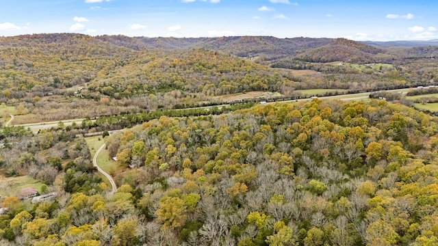 property view of mountains