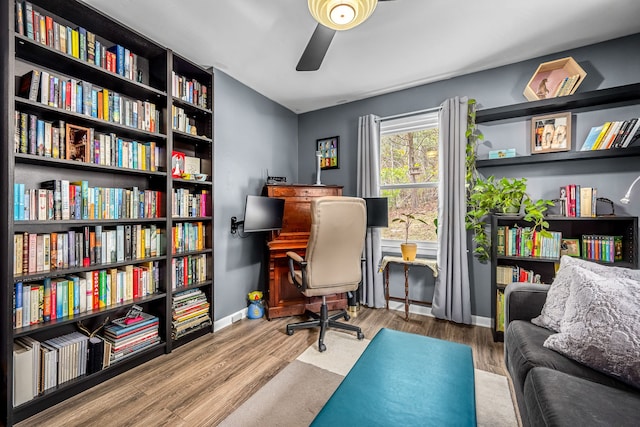 office area featuring hardwood / wood-style floors