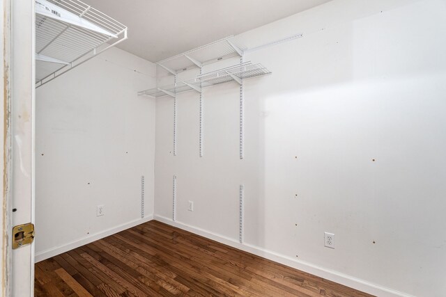 spacious closet with dark hardwood / wood-style floors