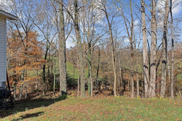 408 W Main St, Smithville, TN 37166 - photo 65