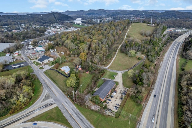 birds eye view of property with a mountain view