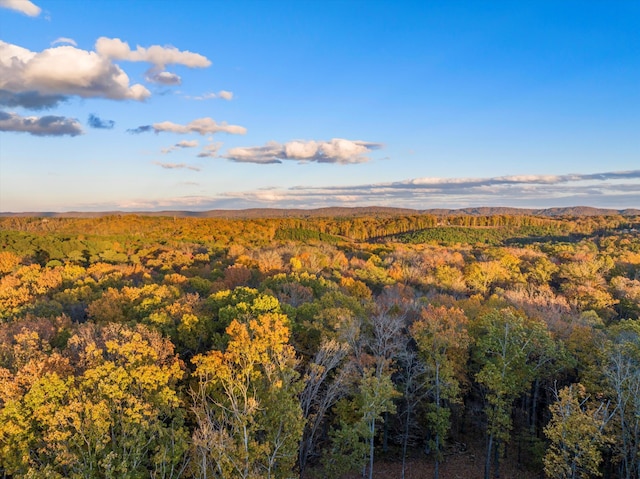 4955 Ringgold Rd, La Fayette, GA 30728 - view of aerial view at dusk