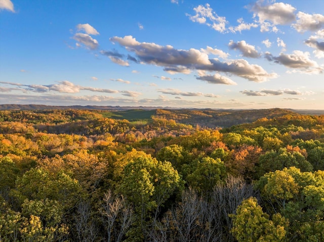 4955 Ringgold Rd, La Fayette, GA 30728 - view of mountain background with a forest