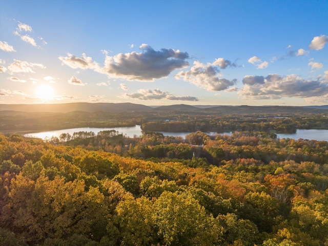 4955 Ringgold Rd, La Fayette, GA 30728 - property view of mountains with a water view