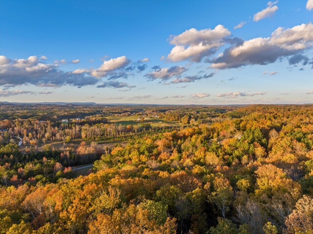 4955 Ringgold Rd, La Fayette, GA 30728 - birds eye view of property