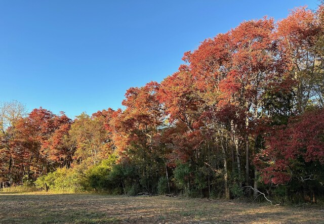 7525 Mount Carmel Rd, Decaturville, TN 38329 - photo 9