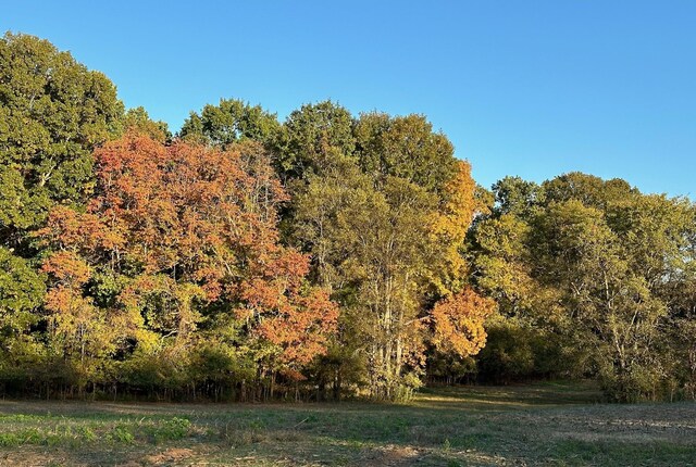 7525 Mount Carmel Rd, Decaturville, TN 38329 - photo 15