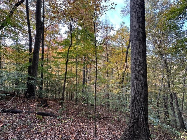 8180 Old Charlotte Pike, Nashville, TN 37209 - photo 3