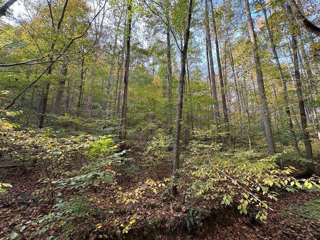 8180 Old Charlotte Pike, Nashville, TN 37209 - photo 5