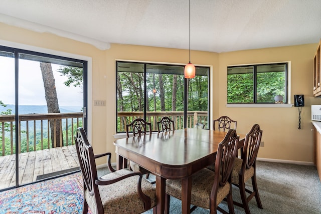 dining space featuring a textured ceiling, carpet floors, and a water view