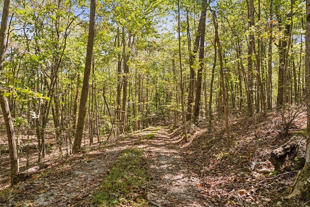 view of local wilderness