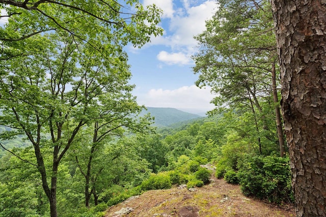 property view of mountains