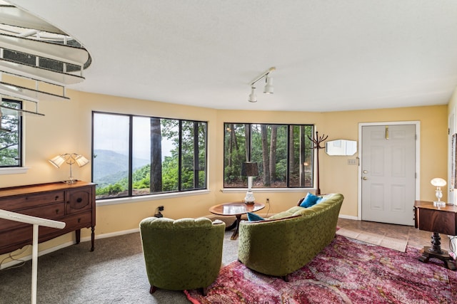 carpeted living room featuring rail lighting and a wealth of natural light