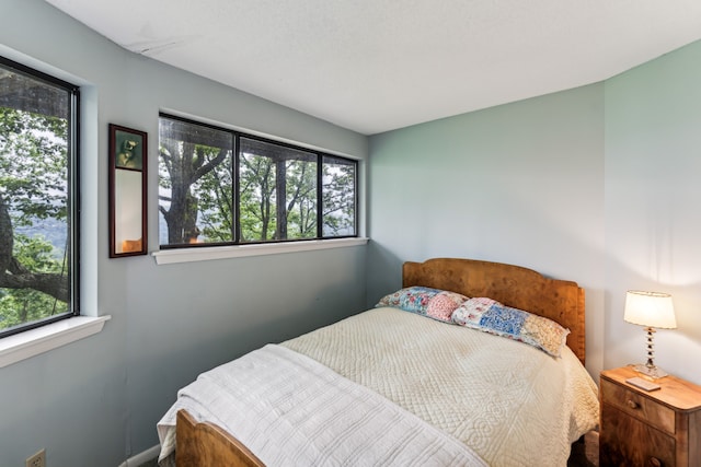 bedroom with multiple windows