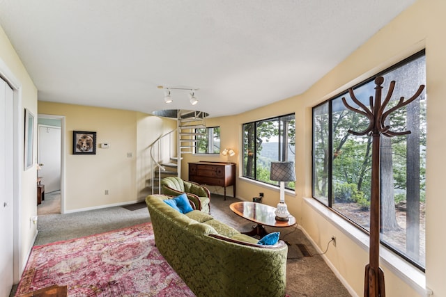 interior space featuring carpet flooring and rail lighting