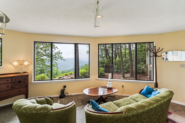 sitting room featuring carpet, a textured ceiling, and plenty of natural light