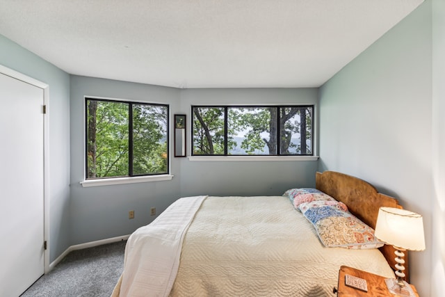 bedroom featuring carpet