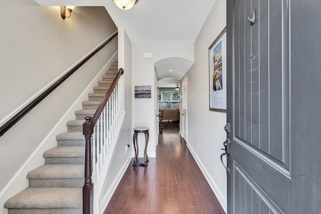 entryway featuring dark hardwood / wood-style flooring