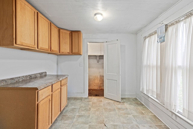 kitchen featuring a wealth of natural light