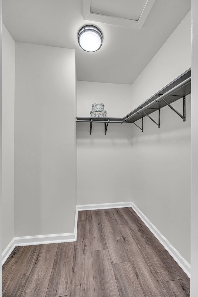 walk in closet featuring wood-type flooring