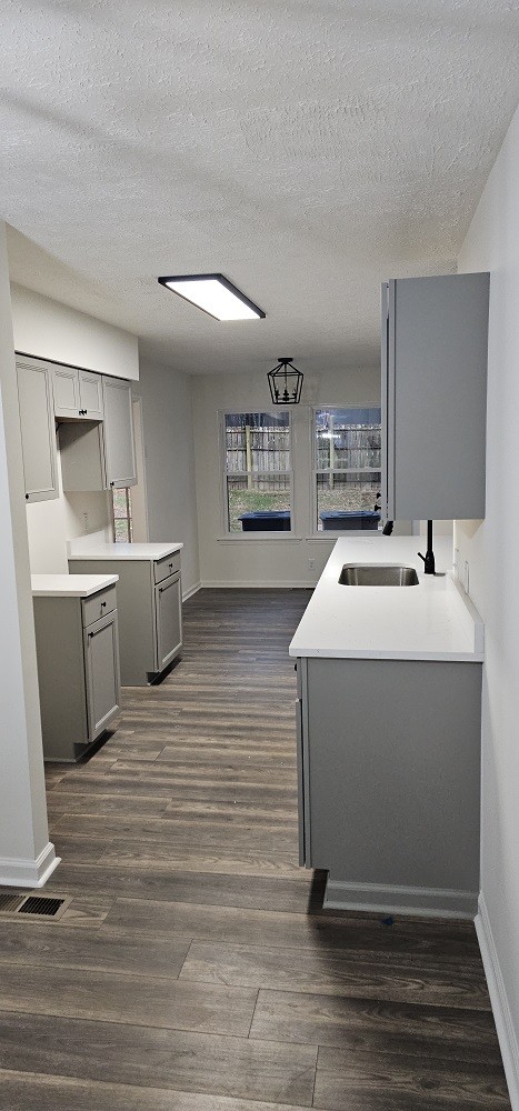 kitchen with a textured ceiling, gray cabinets, dark wood-type flooring, and sink