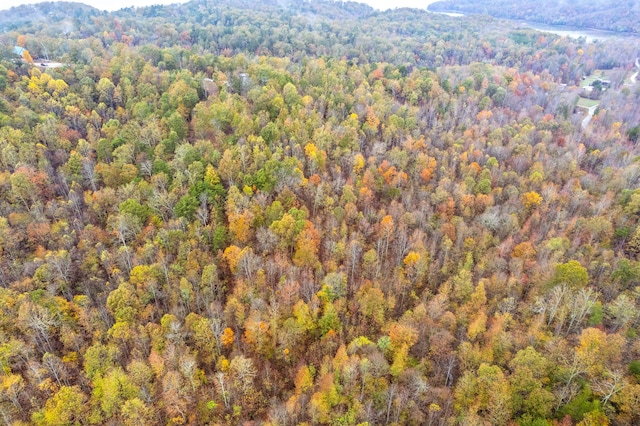 bird's eye view with a mountain view