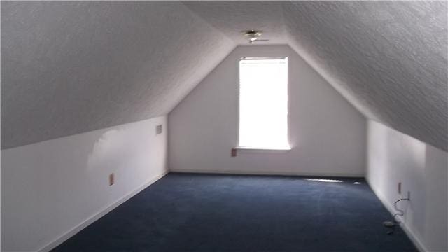 additional living space featuring a textured ceiling, dark carpet, and vaulted ceiling