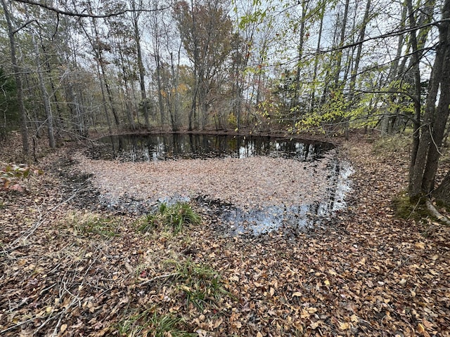 view of local wilderness with a water view