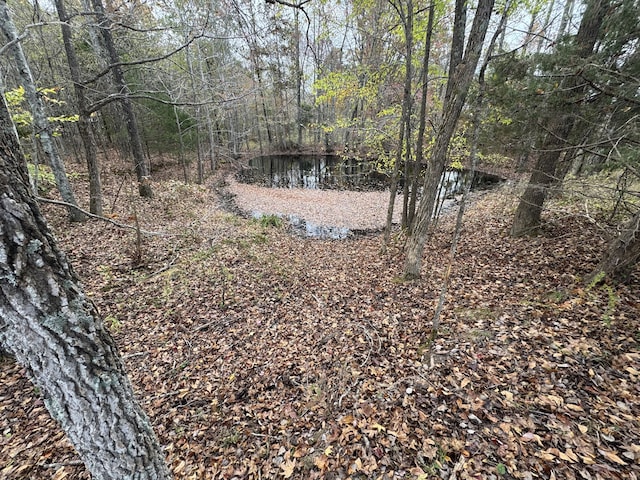 view of yard featuring a water view