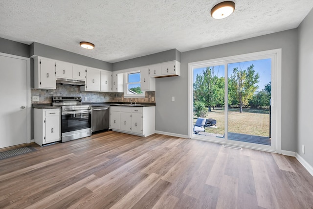 kitchen featuring stainless steel appliances, white cabinetry, and plenty of natural light