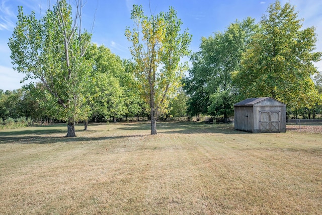 view of yard featuring a storage unit