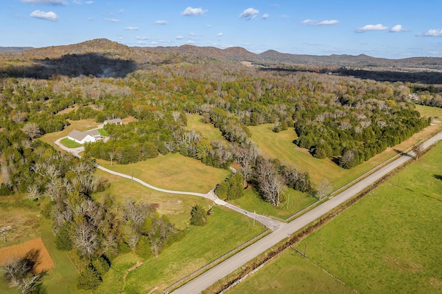 drone / aerial view featuring a mountain view