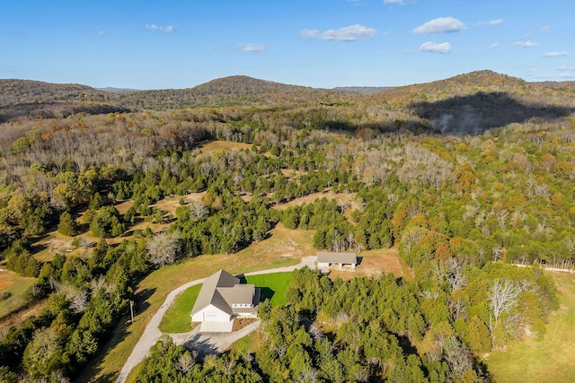 birds eye view of property featuring a mountain view