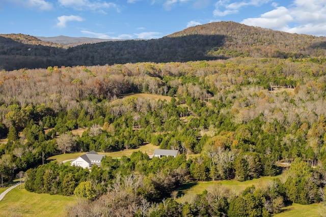 property view of mountains