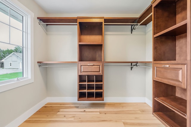 spacious closet featuring light hardwood / wood-style floors