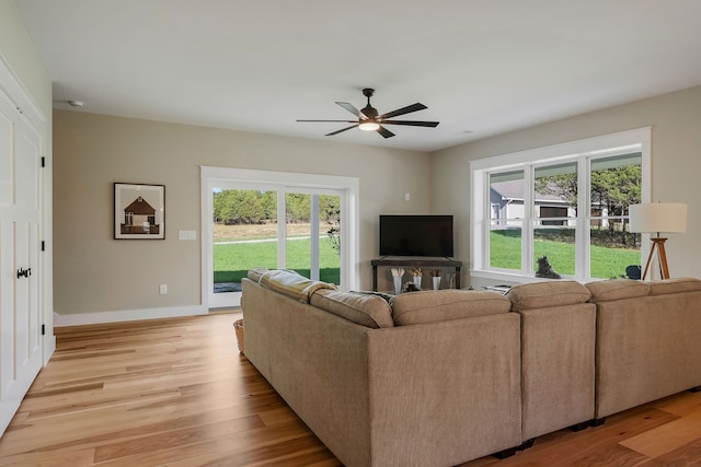 living room with ceiling fan and light hardwood / wood-style floors