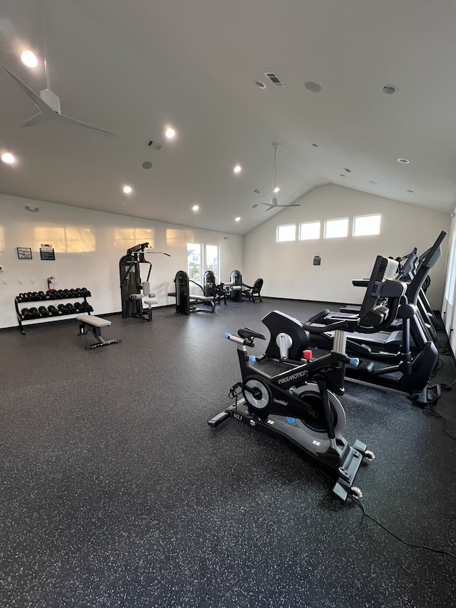 gym featuring lofted ceiling