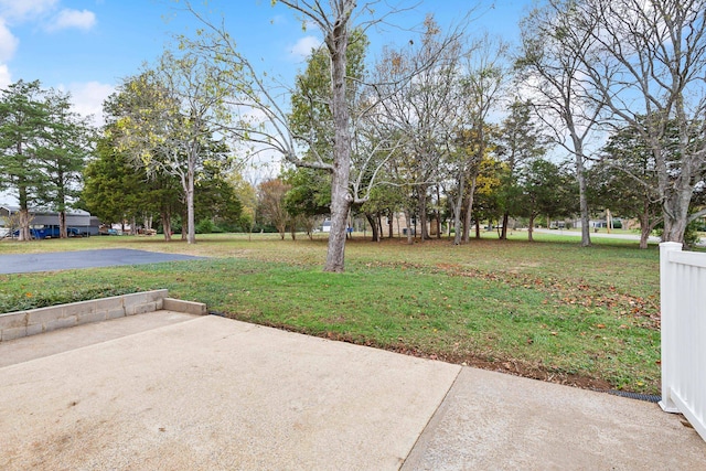 view of yard featuring a patio area