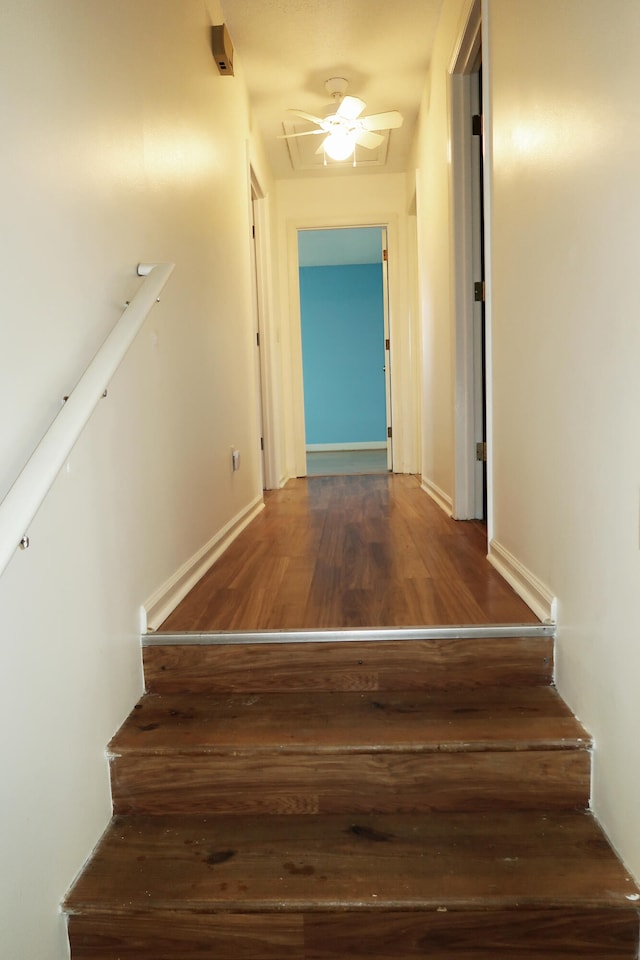 staircase featuring wood-type flooring